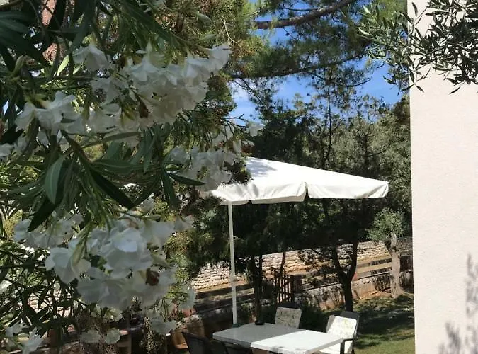 Losinj Moderna Vilă *